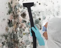 Best Environmental Consulting for Mold Prevention  in Gretna, LA